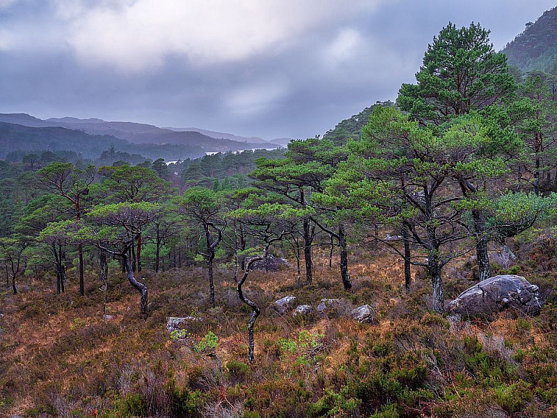 Torridon